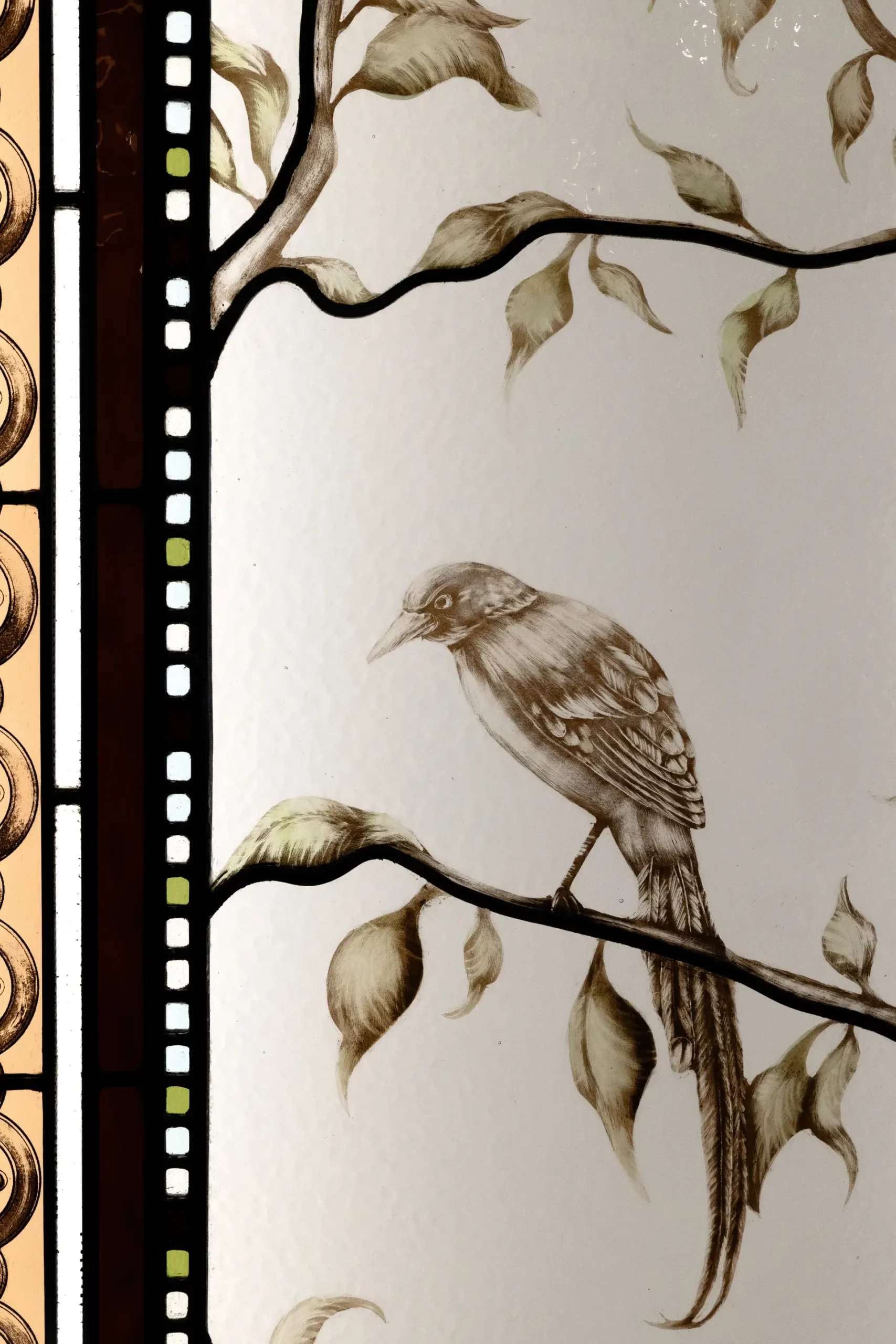 Vitrail oiseau sur une branche